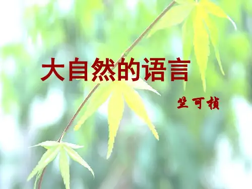 16、大自然的语言第二课时