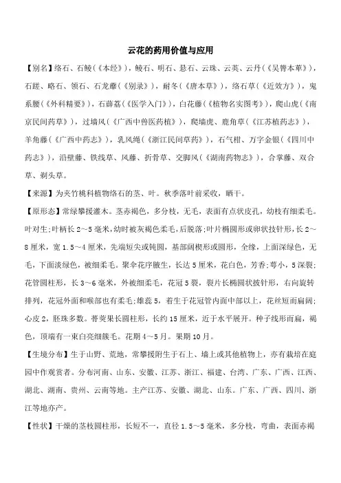 【优秀文档】云花的药用价值与应用
