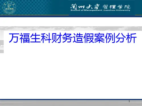 万福生科财务造假案例分析ppt课件