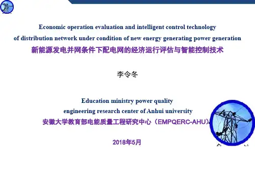 李令冬—新能源发电并网条件下配电网经济运行评估与智能控制技术