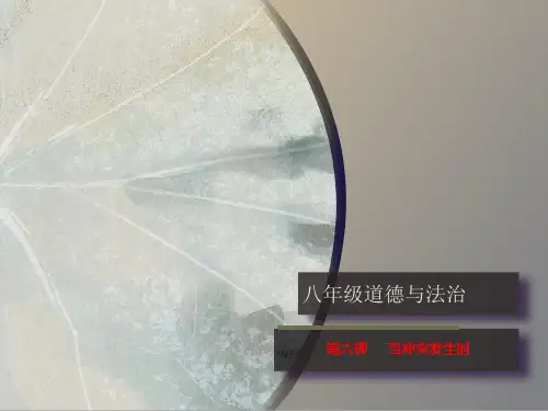 新人民版八年级道德与法治上第六课课件