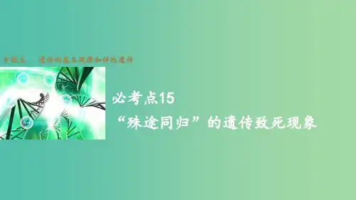 高考生物大二轮总复习 增分策略 专题五 必考点15“殊途同归”的遗传致死现象
