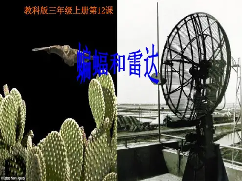 《蝙蝠和雷达》ppt课件资料