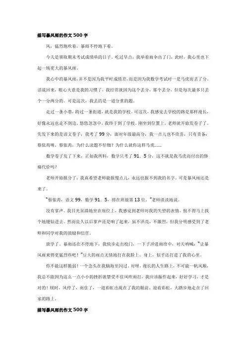 描写暴风雨的作文500字