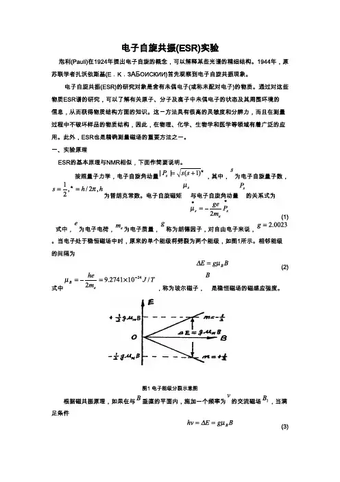 电子自旋共振实验