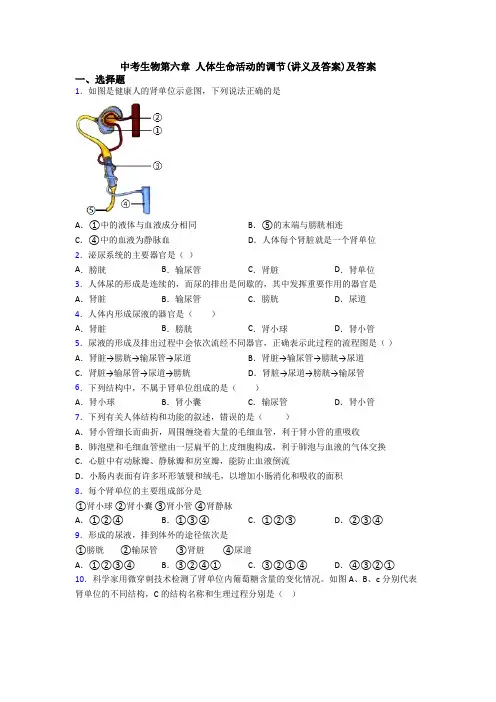 中考生物第六章 人体生命活动的调节(讲义及答案)及答案