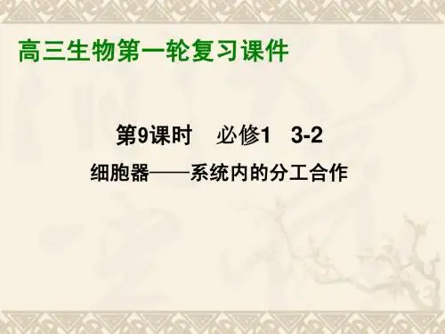 高三生物一轮复习 必修1 3-2 细胞器—细胞内的分工合作