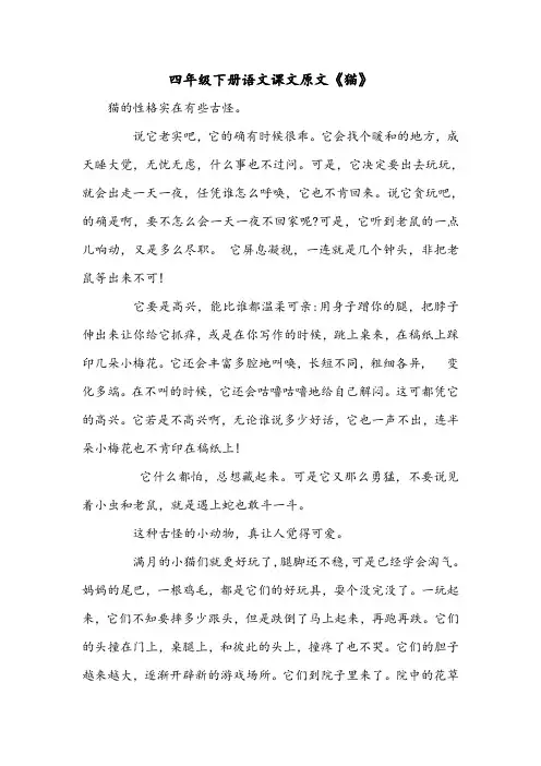 四年级下册语文课文原文《猫》