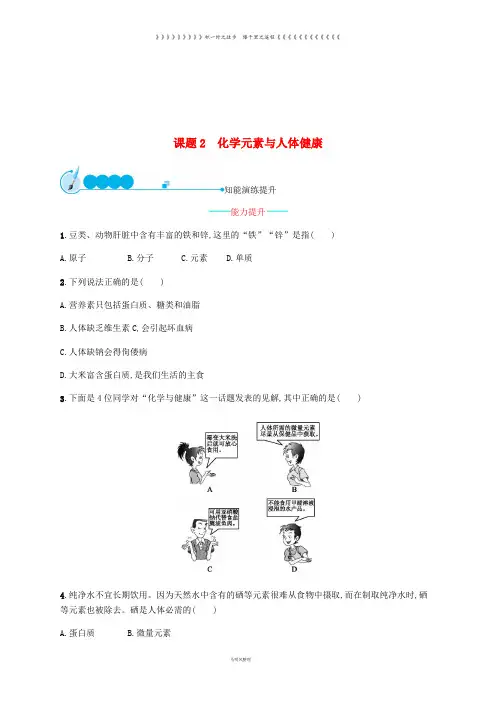 九年级化学下册 第十二单元 化学与生活 12.2 化学元素与人体健康练习