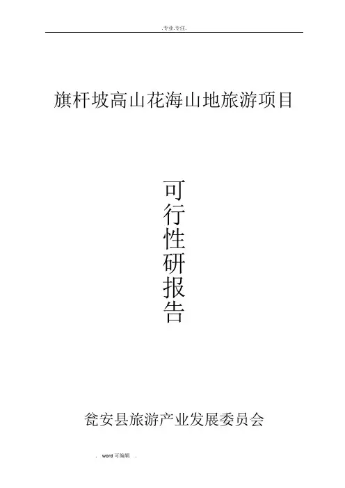 乡村旅游项目可行性实施报告_正本