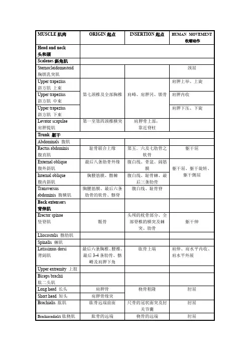 肌肉起止点