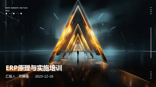 ERP原理与实施培训ppt (3)