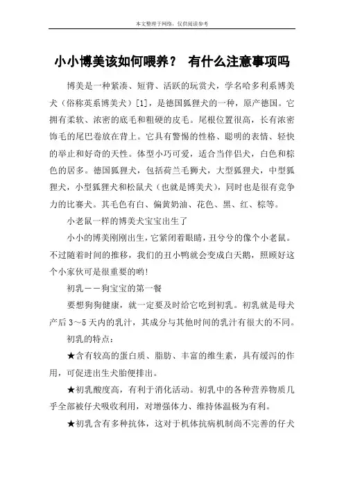 小小博美该如何喂养？ 有什么注意事项吗