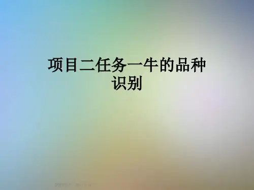 项目二任务一牛的品种识别
