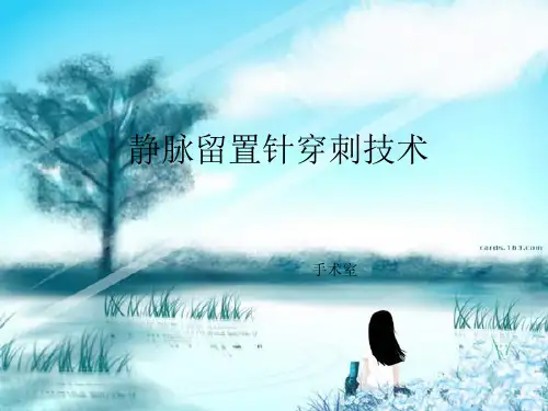 外周静脉留置针穿刺技术