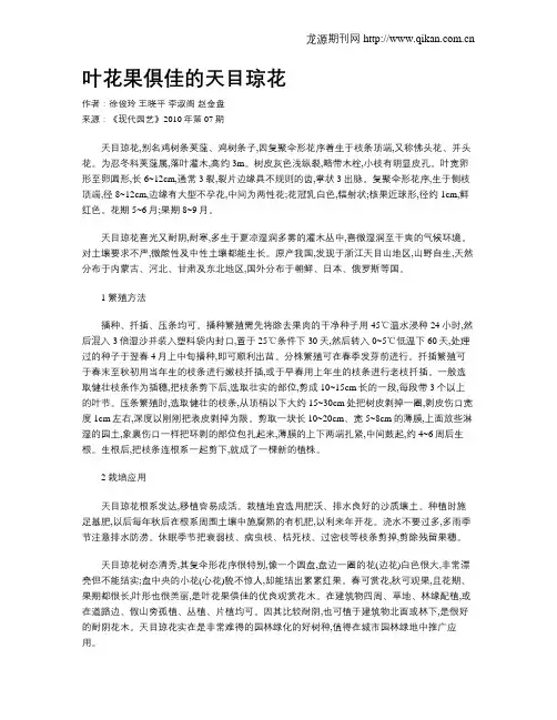 叶花果俱佳的天目琼花