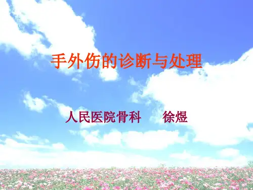 手外伤的诊断与处理参考PPT