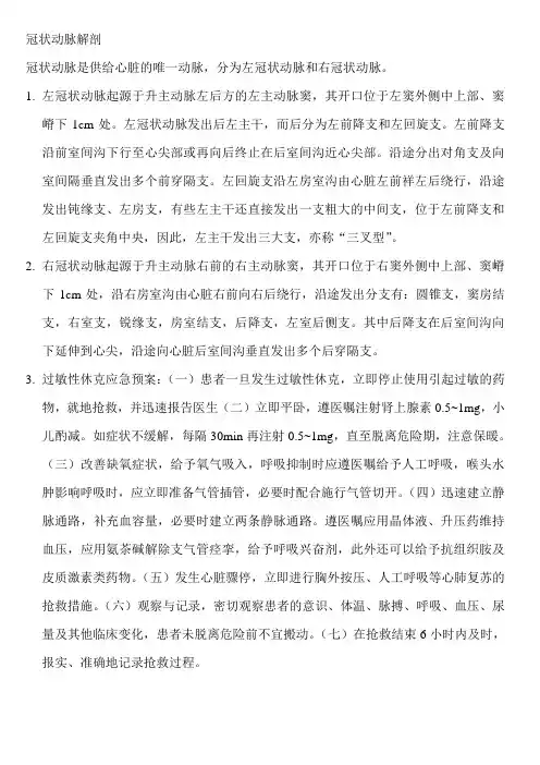 冠状动脉解剖 2