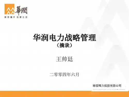 华润电力战略管理