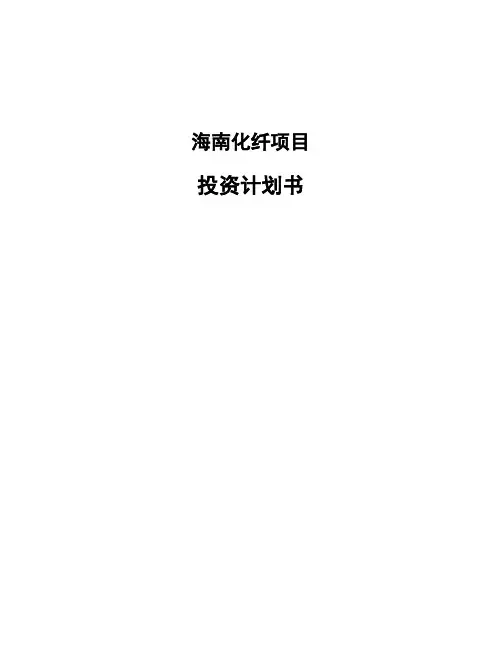 海南化纤项目投资计划书
