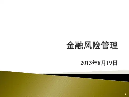 《金融风险管理》PPT幻灯片