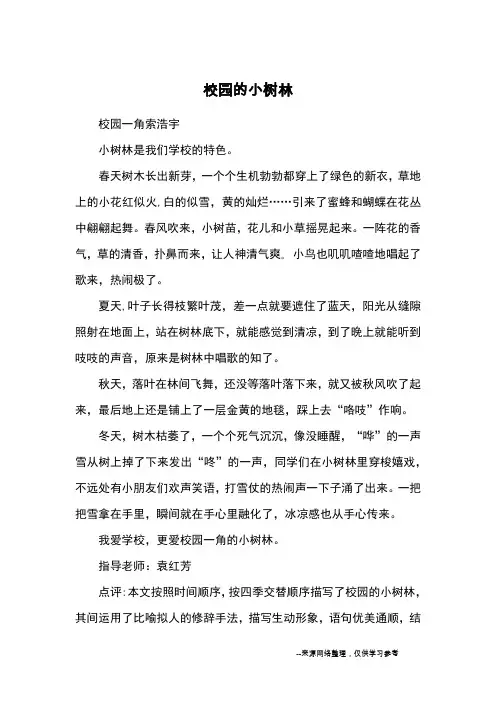 校园的小树林_优秀作文