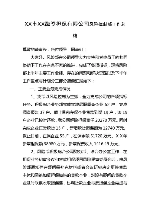 融资担保有限公司风险控制部工作总结