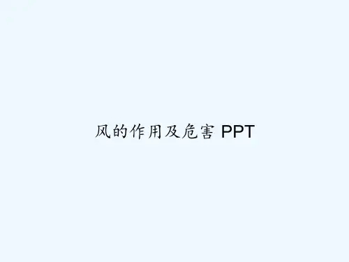 风的作用及危害 PPT
