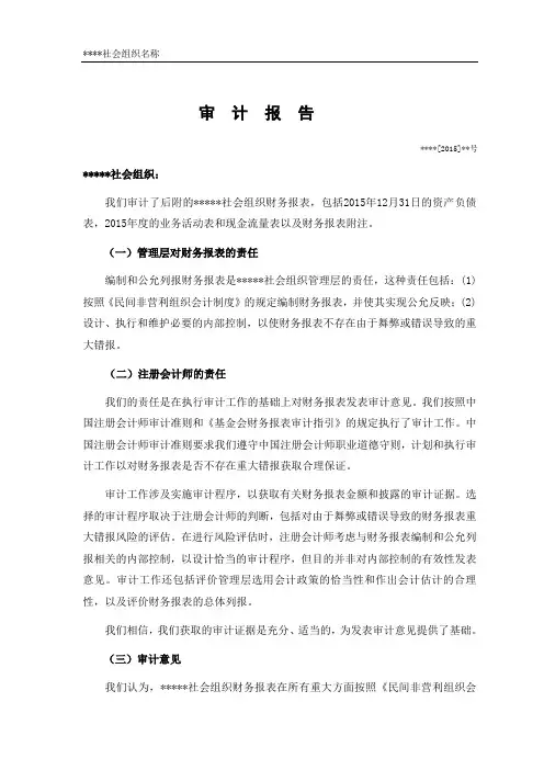 社会团体年度财务审计报告范本
