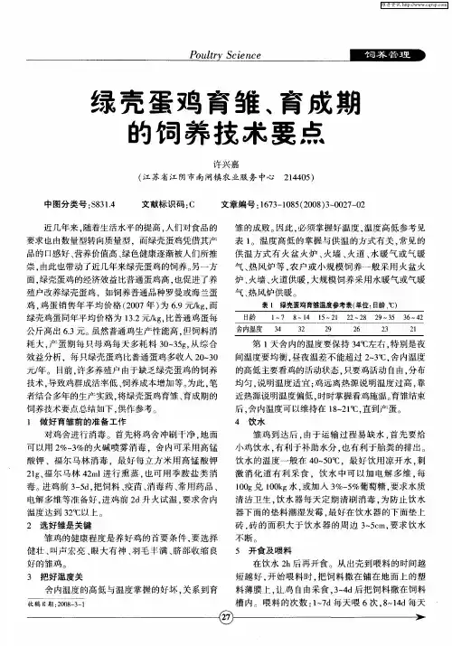 绿壳蛋鸡育雏、育成期的饲养技术要点