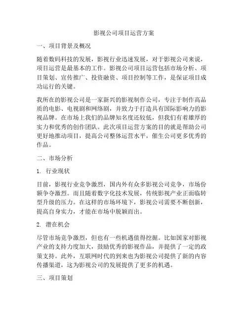 影视公司项目运营方案