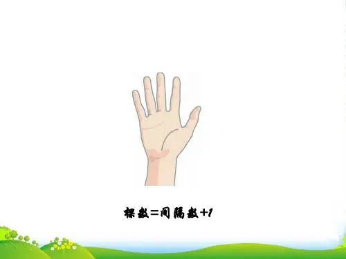 四年级《植树问题》奥数课件