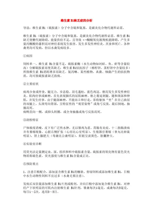 维生素B1缺乏症的分析