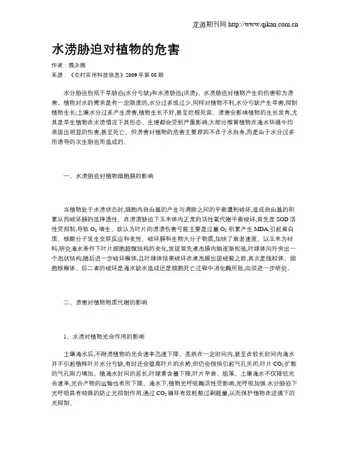 水涝胁迫对植物的危害