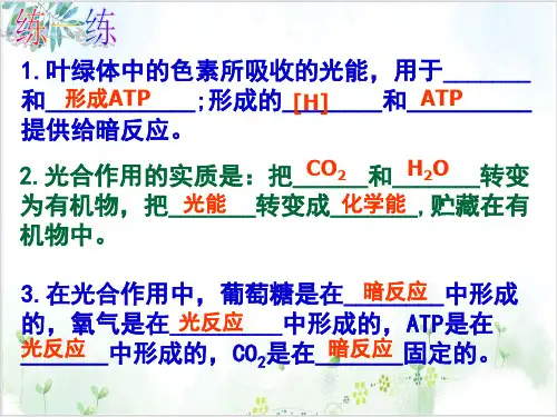 人教版必修一生物《光合作用的原理和应用》PPT课件