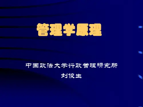 领导者新的角色跟基本技能(ppt 95页)