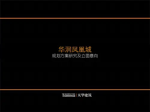 华润凤凰城规划篇