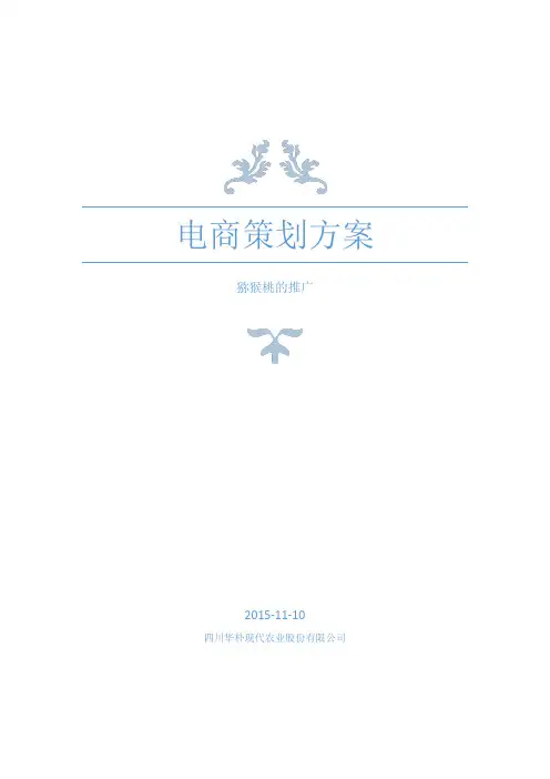 电商策划方案