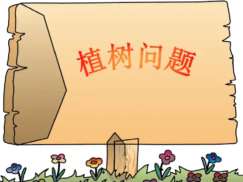 植树问题PPT课件