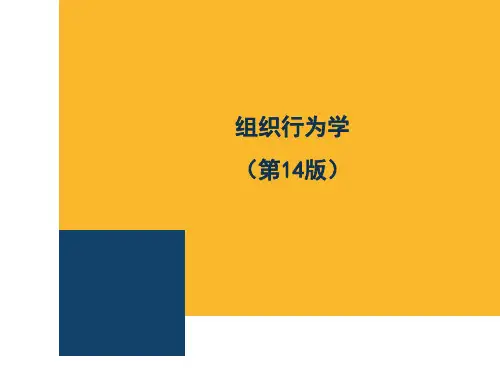 组织行为学斯蒂芬罗宾斯版PPT课件
