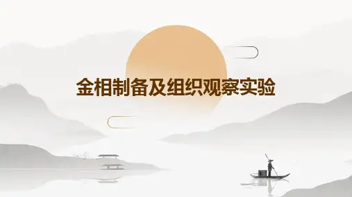 金相制备及组织观察实验