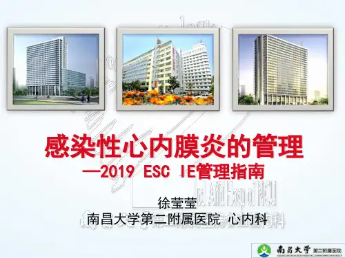 2019ESC感染性心内膜炎指南-PPT文档资料