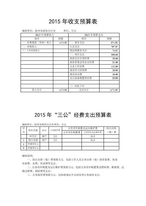 2015年收支预算表