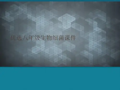 优选八年级生物细菌课件