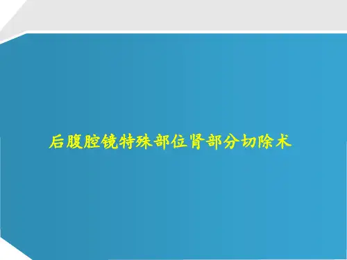 后腹腔镜特殊部位肾部分切除术 PPT课件