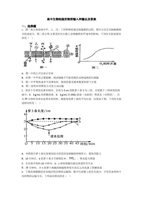 高中生物细胞的物质输入和输出及答案