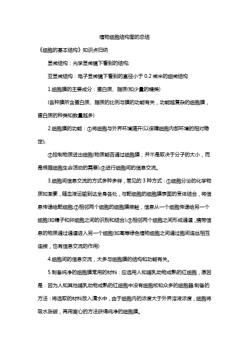 植物细胞结构图的总结