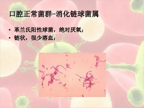 口腔生物学：口腔正常菌群