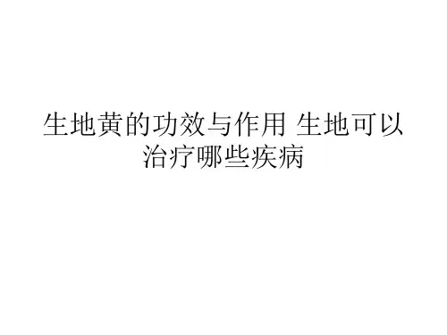 生地黄的功效与作用 生地可以治疗哪些疾病
