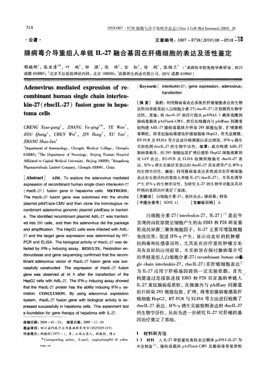 腺病毒介导重组人单链IL-27融合基因在肝癌细胞的表达及活性鉴定